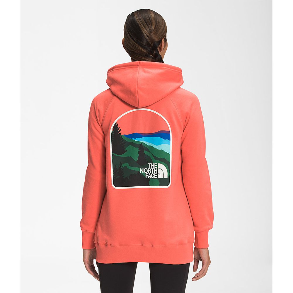 The North Face Hoodie Womens Australia - The North Face Parks Pullover Orange (WRU-428163)